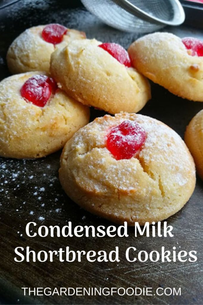 Holiday Sugar Cookie Recipes